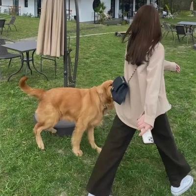 灼热之夏